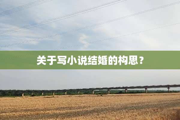 关于写小说结婚的构思？