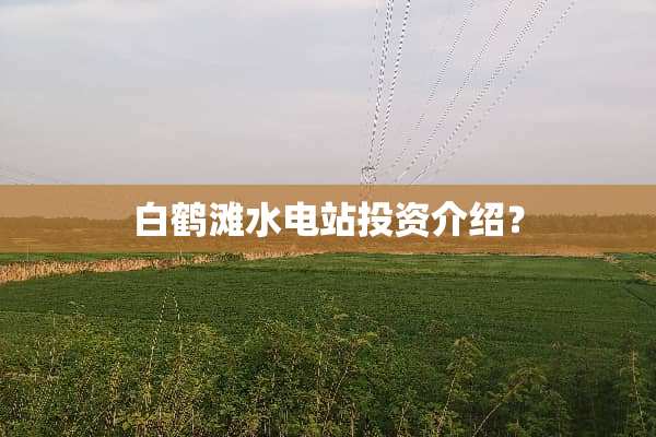 白鹤滩水电站投资介绍？