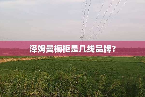 泽姆曼橱柜是几线品牌？
