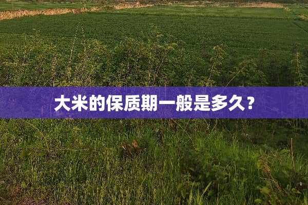 大米的保质期一般是多久？