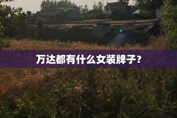 万达都有什么女装牌子？