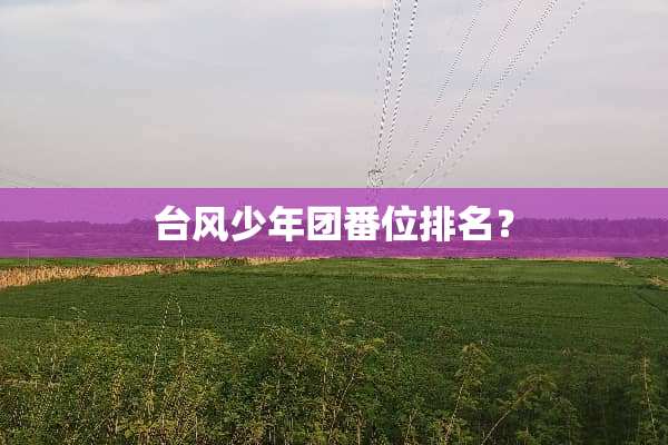 台风少年团番位排名？