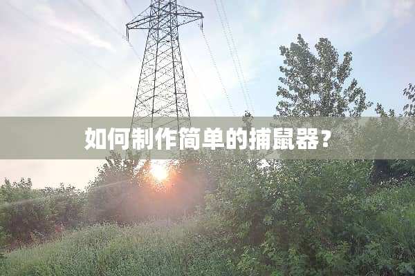 如何制作简单的捕鼠器？