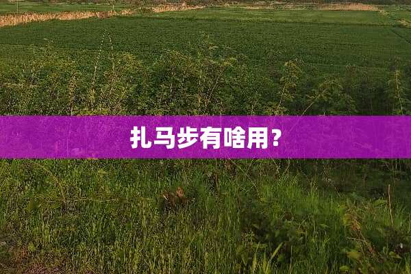扎马步有啥用？