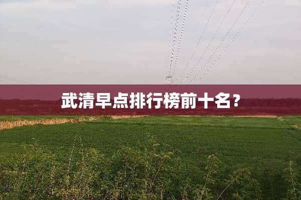 武清早点排行榜前十名？
