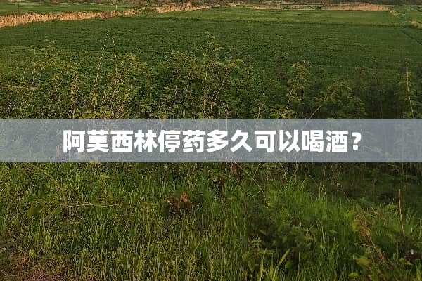 阿莫西林停药多久可以喝酒？