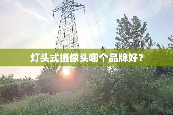 灯头式**头哪个品牌好？