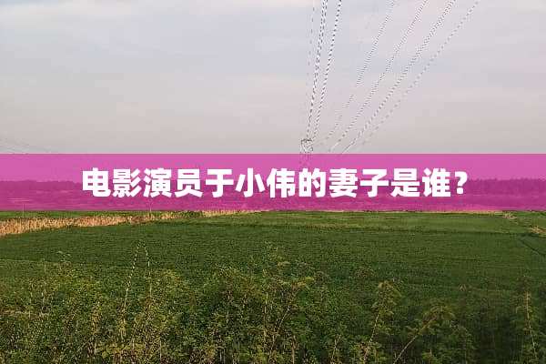 电影演员于小伟的妻子是谁？