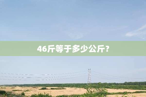 46斤等于多少公斤？