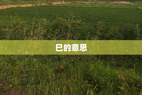 巳的意思