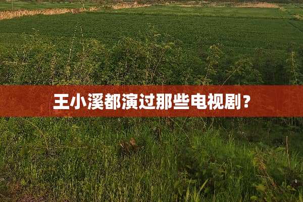 王小溪都演过那些电视剧？