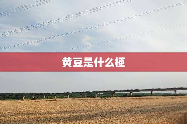 黄豆是什么梗