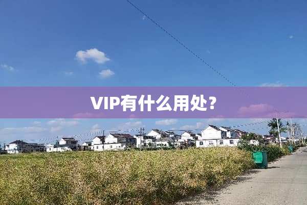 VIP有什么用处？