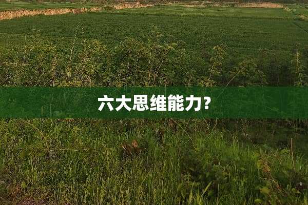 六大思维能力？
