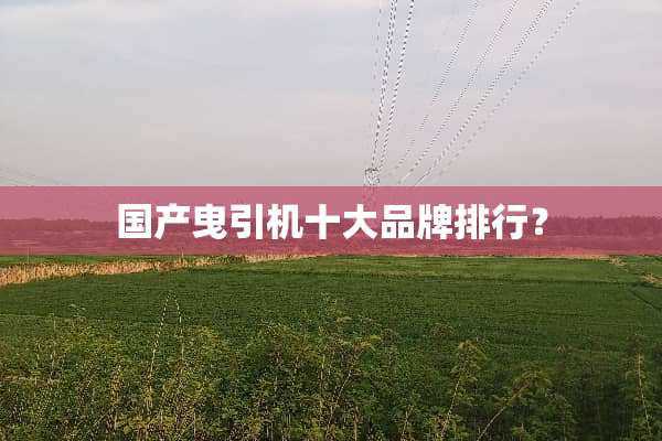 国产曳引机十大品牌排行？