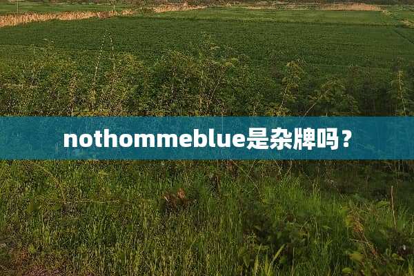 nothommeblue是杂牌吗？