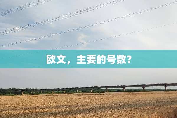 欧文，主要的号数？