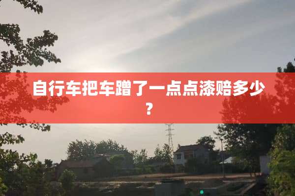 自行车把车蹭了一点点漆赔多少？