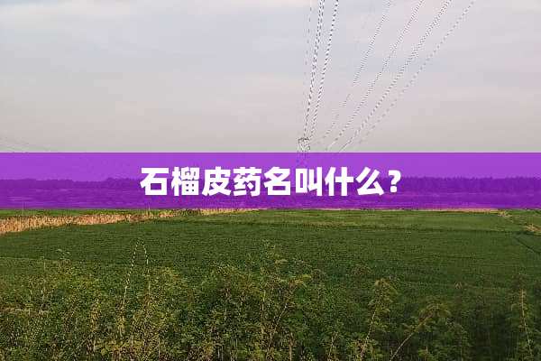 石榴皮药名叫什么？