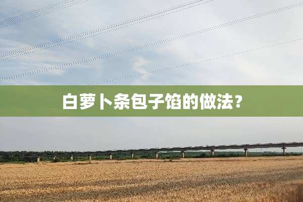 白萝卜条包子馅的做法？