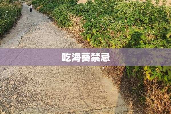吃海葵禁忌
