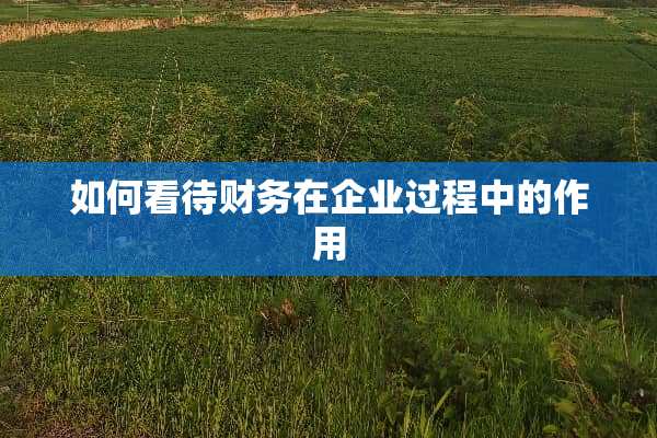 如何看待财务在企业过程中的作用