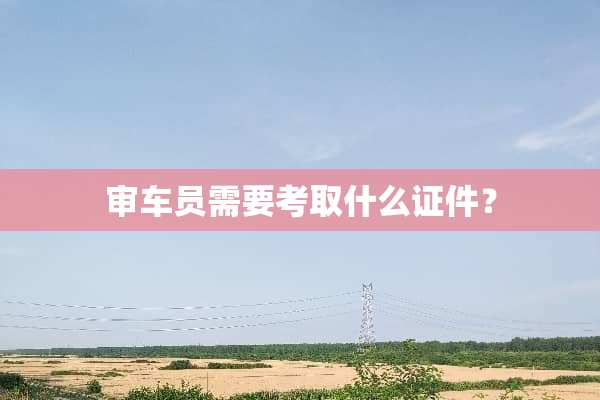 审车员需要考取什么**？