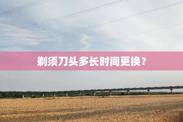 剃须刀头多长时间更换？