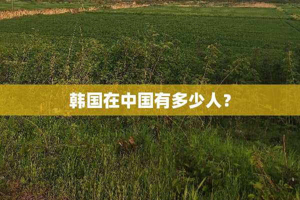 韩国在中国有多少人？