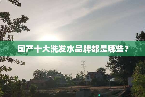 国产十大洗发水品牌都是哪些？