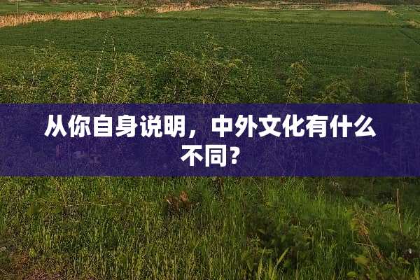 从你自身说明，中外文化有什么不同？