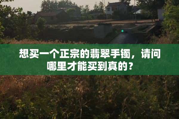 想买一个正宗的翡翠手镯，请问哪里才能买到真的？