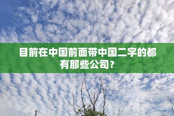 目前在中国前面带中国二字的都有那些公司？
