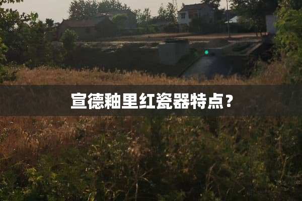 宣德釉里红瓷器特点？