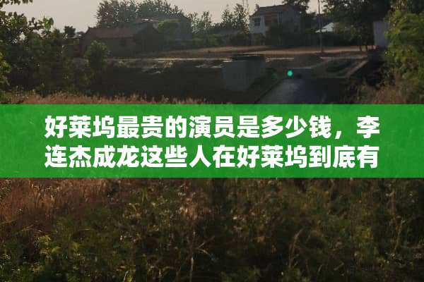 好莱坞最贵的演员是多少钱，李连杰成龙这些人在好莱坞到底有多少影响力？