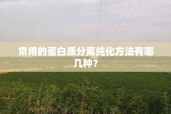 常用的蛋白质分离纯化方法有哪几种？