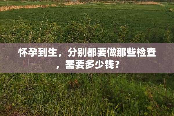 怀孕到生，分别都要做那些检查，需要多少钱？