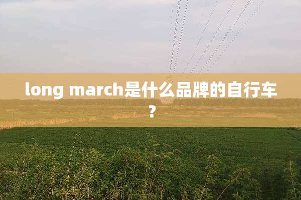 long march是什么品牌的自行车？