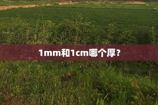 1mm和1cm哪个厚？