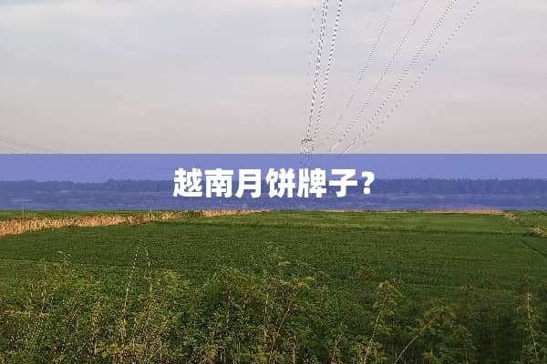 越南月饼牌子？