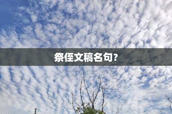 祭侄文稿名句？