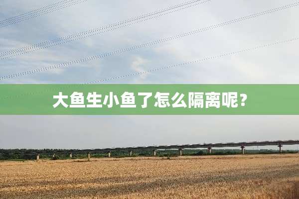 大鱼生小鱼了怎么隔离呢？