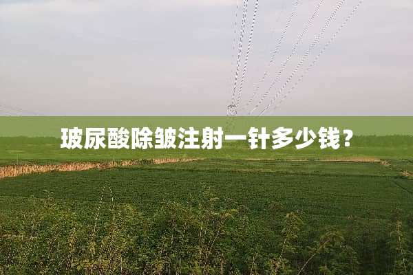 玻尿酸除皱注射一针多少钱？