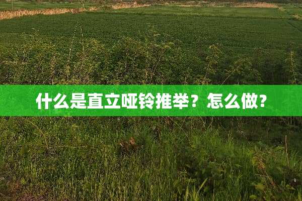 什么是直立哑铃推举？怎么做？