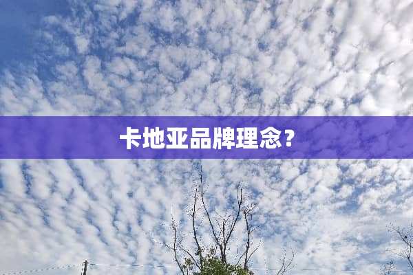 卡地亚品牌理念？