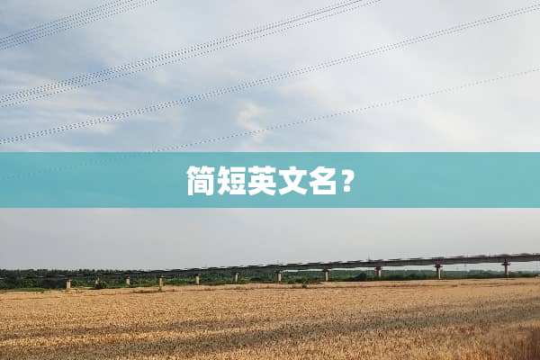 简短英文名？