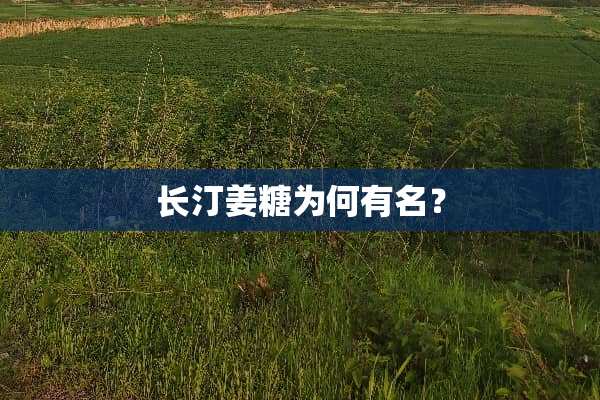长汀姜糖为何有名？