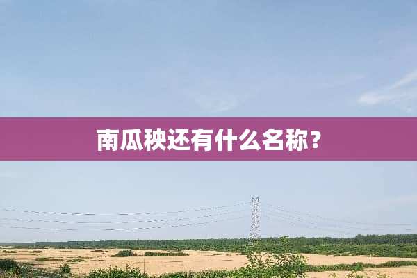 南瓜秧还有什么名称？
