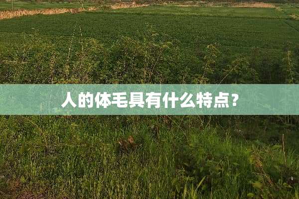 人的体毛具有什么特点？