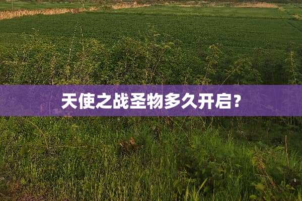 天使之战圣物多久开启？